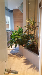 Cavendish Park (D21), Condominium #533699151